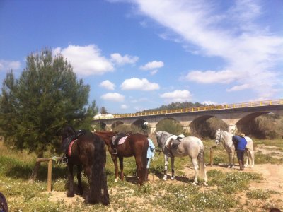 Horse riding excursion in Llíria. 1 hour.