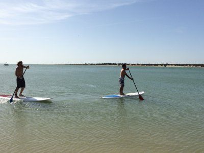 Ruta en paddle surf desembocadura del Guadalquivir