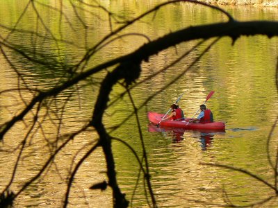 Hacer kayak en el Tajo a orillas de Zorita