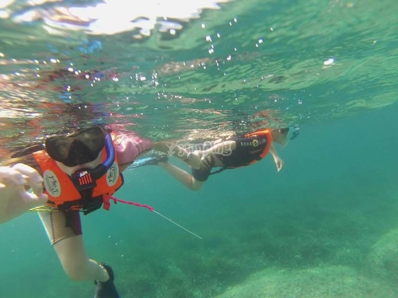 Hacer snorkel en Cartagena para ver la posidonia desde 35€