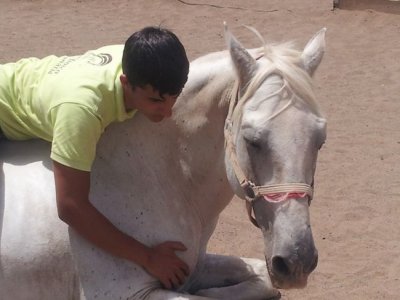 Centro Hípico Gran Canaria  Rutas a Caballo