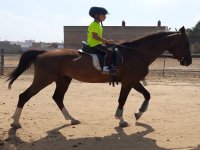  Bambino a cavallo nell'equitazione 