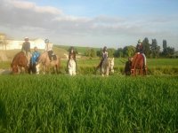  Visite guidée à cheval à travers la campagne de Cadix 