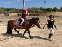  Preparare il cavallo 