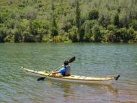 Rowing a yellow kayak