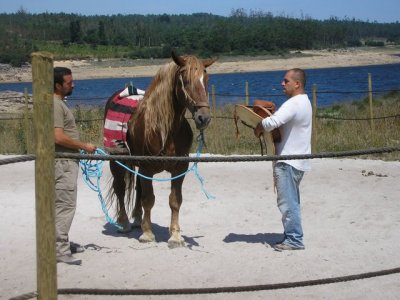 Naturmaz Rutas a Caballo