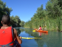  Following the kayak 