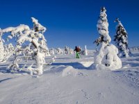  Na floresta congelada com neve de raquetes de neve 