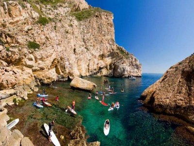 Alquiler libre de Paddle Surf 1 hora