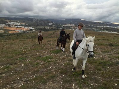 Hispano Lusitano Arucas a caballo