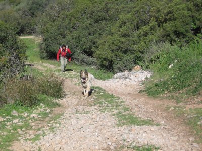 Rapel en cueva y despedida de soltero en Córdoba