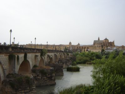 Ruta en kayak por el Guadalquivir de 3 horas