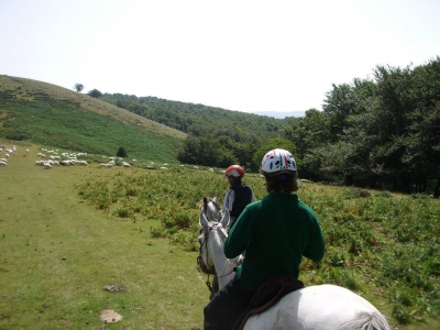 Excursión a caballo montañas vascas 4 horas