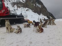 resting in the snow 