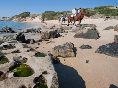 Visitar playas de Tarifa a Caballo 90min tem. baja