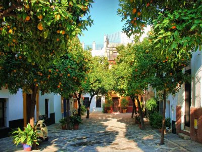 Visita guiada Sevilla Medieval 1h 15min