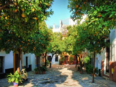 Guided tour of Medieval Seville 1h 15min