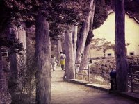 una pareja recorriendo un camino entre los arboles