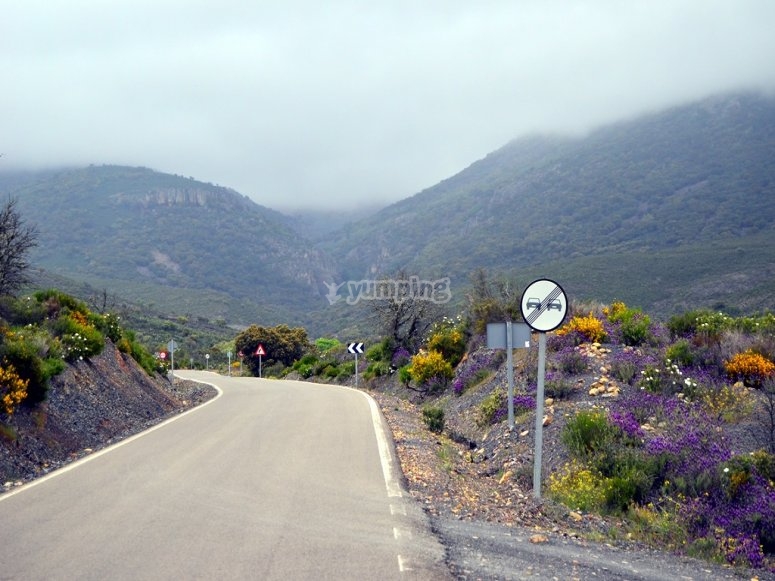 Camino hacia malmoneda