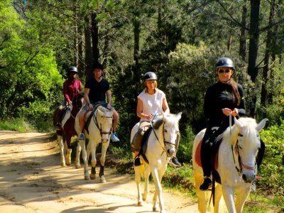 Ruta a caballo por la Serralada Litoral con comida