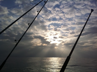 Paseo de pesca en Guipuzkoa durante 9 horas