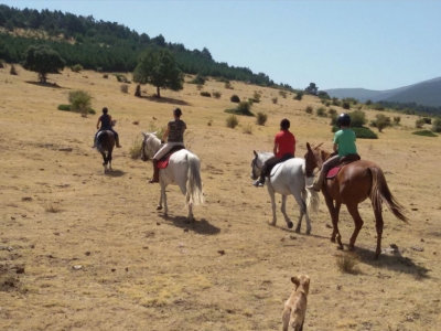 Montar a caballo en Corvera con almuerzo 2 horas