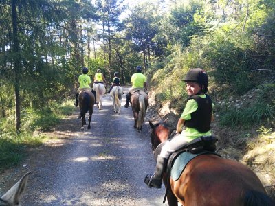 Horse riding in Ezkio-Itsaso 2 hours