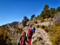  Trekking 