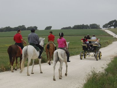 1h 30 min horseback route