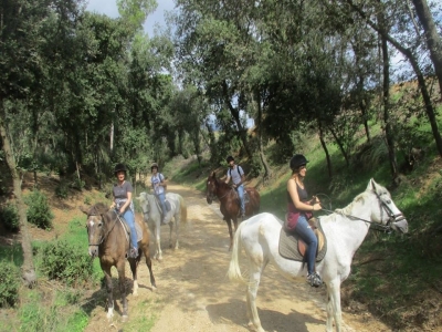 Equimia Rutas a Caballo