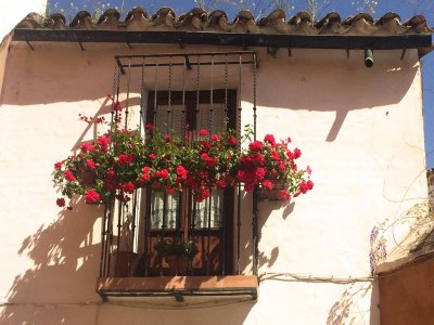 Conocer la Sevilla Encantada con guía 1h 30m