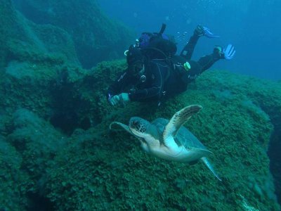 3 dives, El Hierro