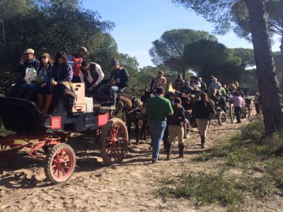 1 hora de passeio de carruagem em Huelva