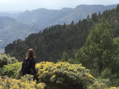 Percorso nel Triangolo Naturale di Gran Canaria 6h 30m