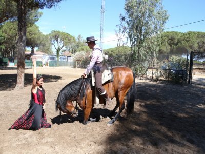 Espectáculo ecuestre flamenco en Doñana grupos