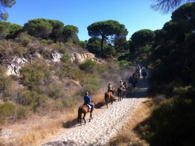 Ruta a caballo en El Rocío y Doñana con rebujito