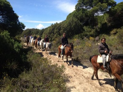 Ruta romántica a caballo por Doñana y el Rocío