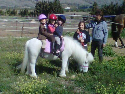 Hípica de Castellón Rutas a Caballo