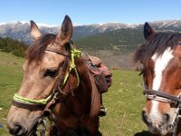 Ven con nosotros a pasear a caballo