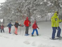 Navacerrada snowshoes adult rate