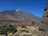  Teide 