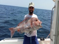  Poisson fraîchement pêché 