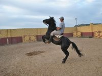 Clase de iniciación de hípica en Valladolid 1 hora