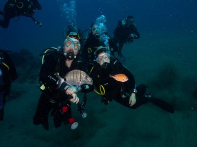 Diving baptism for couples on Valentine's Day