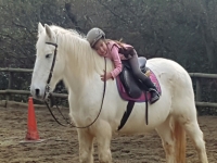  Contact avec le cheval depuis l'enfance 
