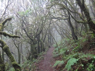 Exclusive couple hiking in La Gomera