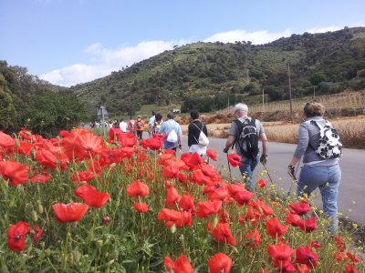 Nordic Walking-Ausflug rund um Barcelona