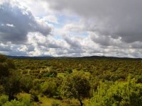  farmhouse landscapes 