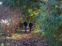  Hiking in thick forest 