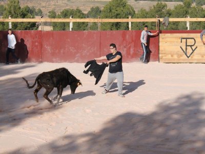 Capea nocturna en Sagunto para grupos